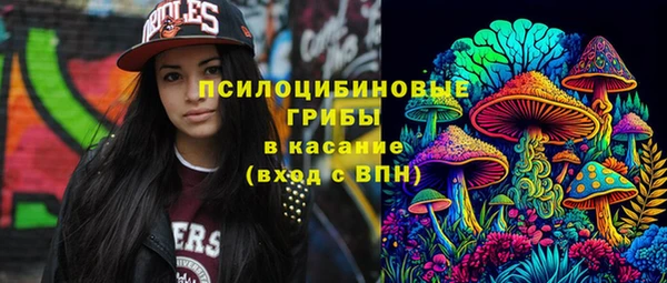 круглые Белокуриха