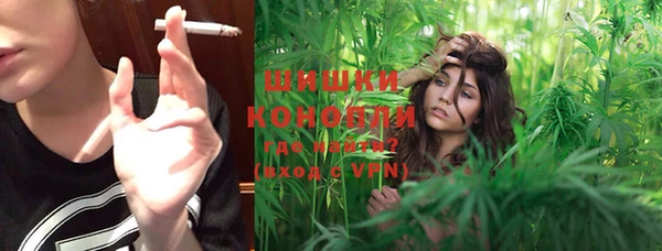 стафф Богданович